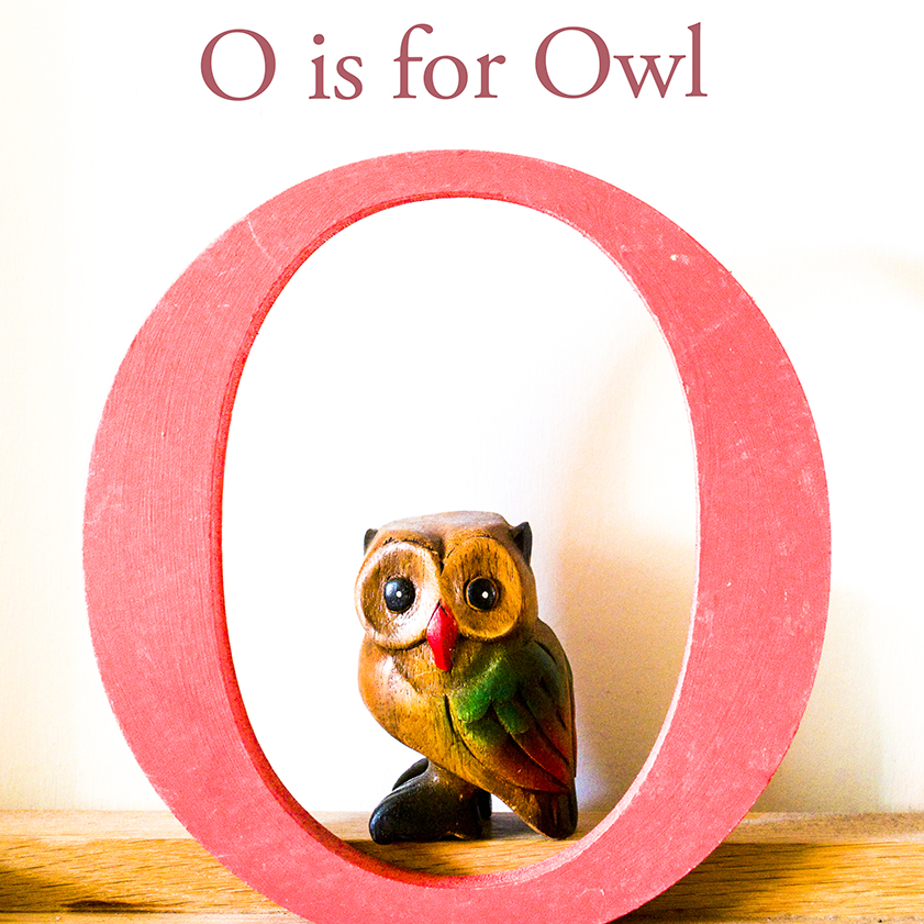 O is for Owl LO RES