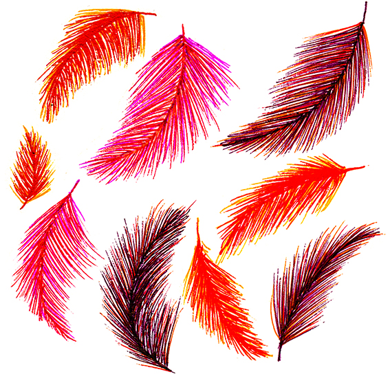 Red feathers Ella Johnston
