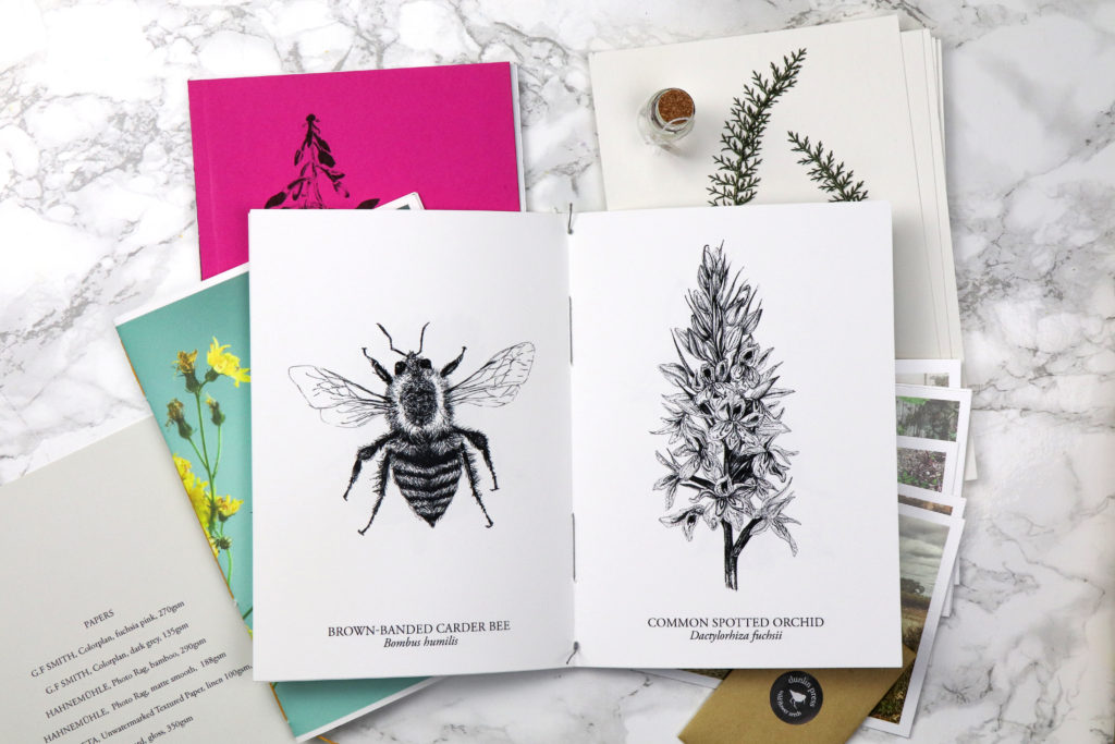 The Orphaned Spaces box set includes three individually hand-stitched books and archival prints plus seeds and reliquary 