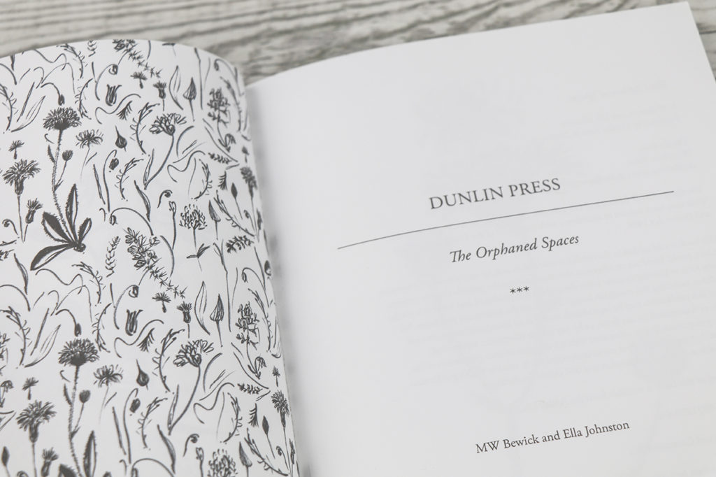 The Orphaned Spaces, illustration and design by Ella Johnston (c) Dunlin Press