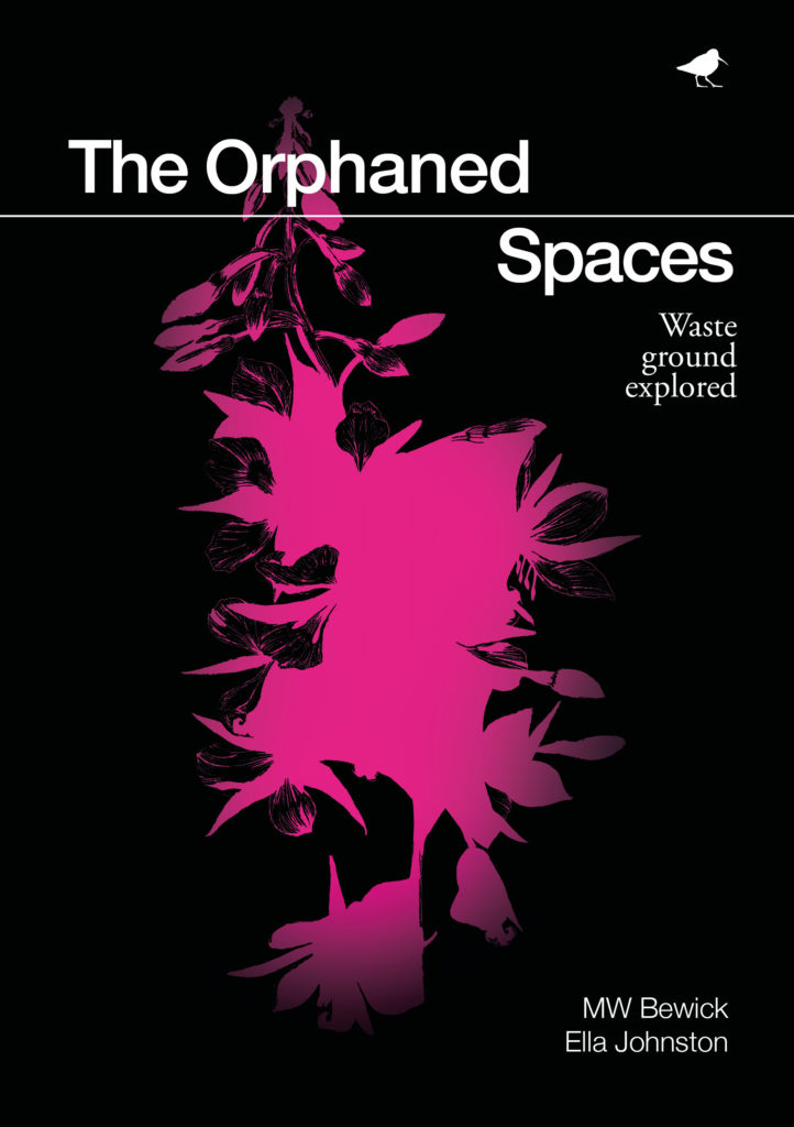 The Orphaned Spaces front cover, illustration and design by Ella Johnston (c) Dunlin Press